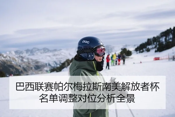 巴西联赛帕尔梅拉斯南美解放者杯名单调整对位分析全景